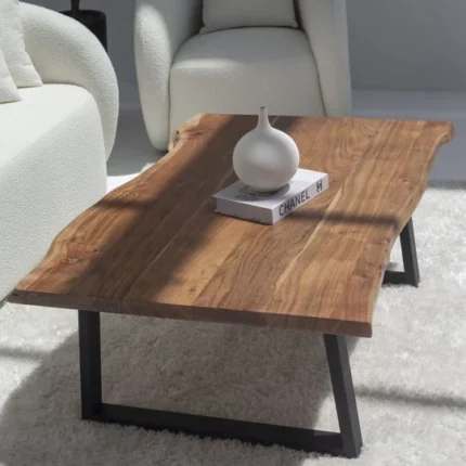 PRITI Coffee Table