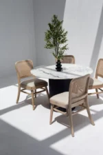 PRITI Marble Dining Table with Black Wooden Base