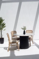 PRITI Marble Dining Table with Black Wooden Base