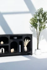 PRITI Black Painted Display Media Console