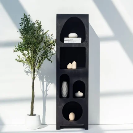 PRITI Black Painted Shelf Unit