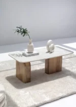 PRITI Marble Coffee Table