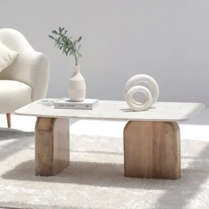 PRITI Marble Coffee Table