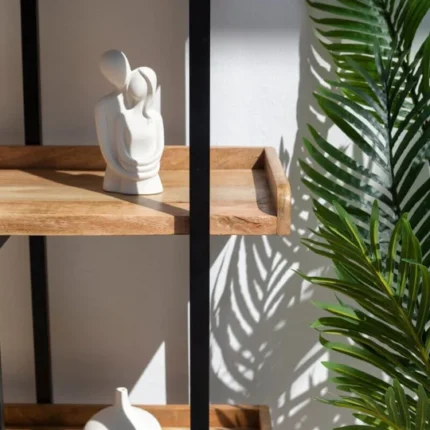 PRITI Industrial Mango Wood Bookcase