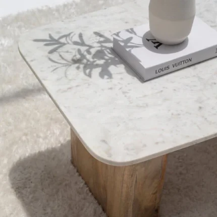 PRITI Marble Coffee Table