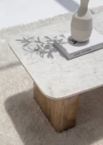 PRITI Marble Coffee Table