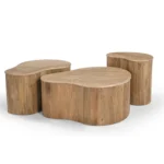 PRITI 3 Piece Coffee Table Set