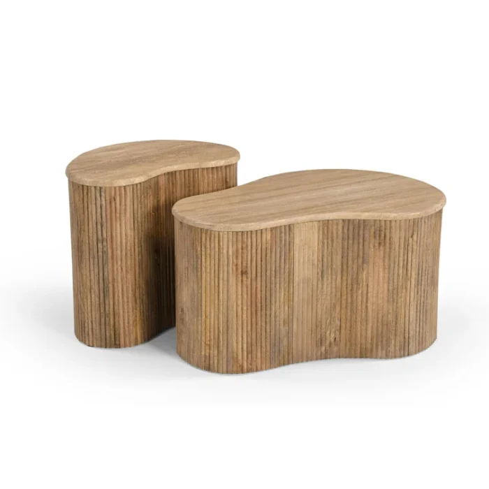 PRITI 3 Piece Coffee Table Set