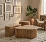 PRITI 3 Piece Coffee Table Set (Solid Wood )