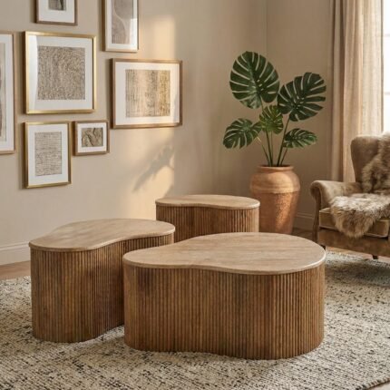 PRITI 3 Piece Coffee Table Set (Solid Wood )