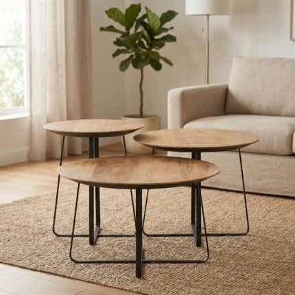 PRITI Round Set of 3 Coffee Tables (Wooden & Metal Legs )