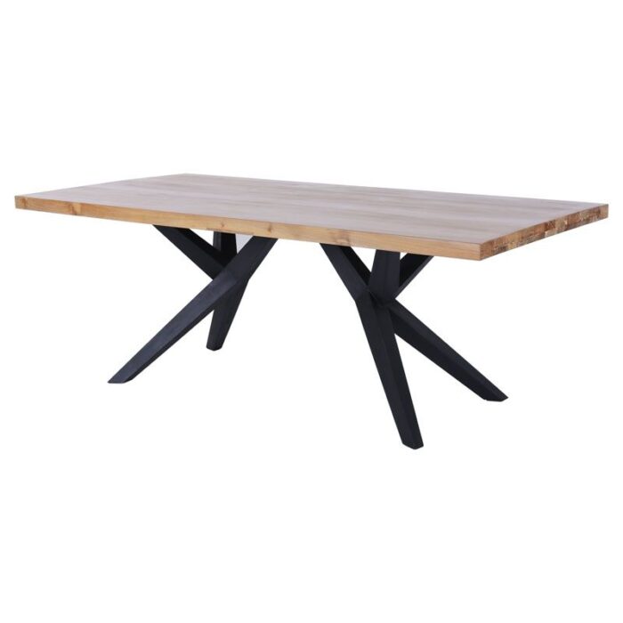 PRITI 200cm Recycled Wood and Metal Table with Tango legs