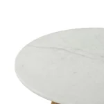 PRITI Wood With Marble Coffee Table