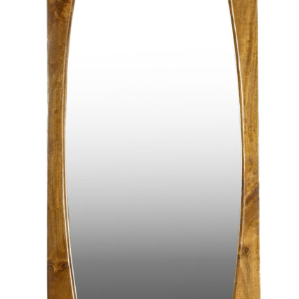 PRITI Mirror