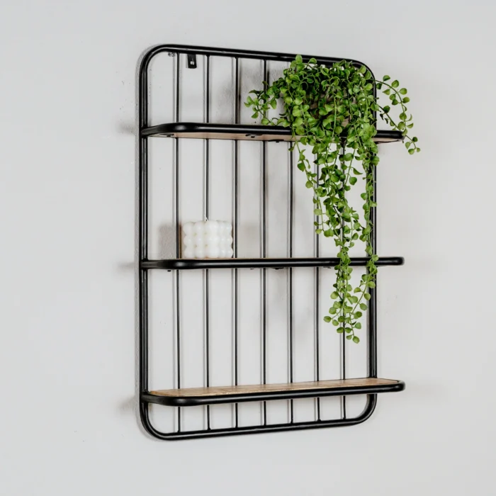 PRITI Wall Rack