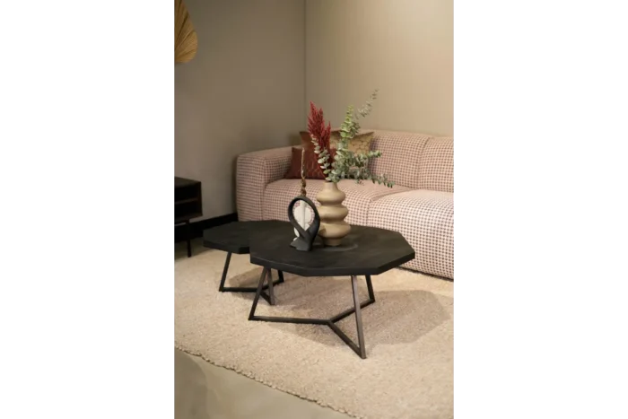 PRITI Coffee Table Set