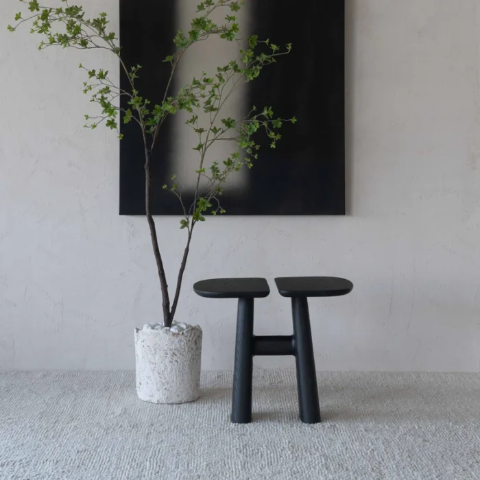 PRITI Solid Wood Black Side Table