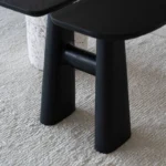 PRITI Solid Wood Black Side Table