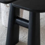 PRITI Solid Wood Black Side Table