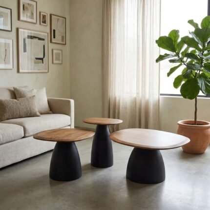 PRITI Coffee Table set of three