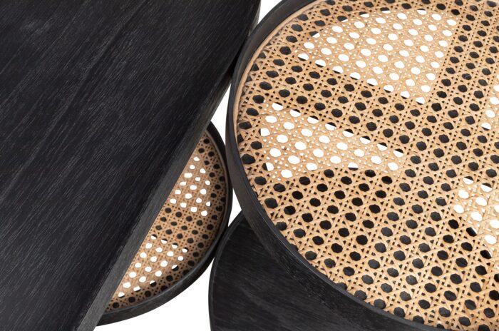 PRITI Amba Coffee Table