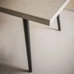 PRITI Mono Dining Room Table & Dinner Desk for Kitchen | Wooden Furniture