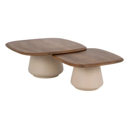 Modern Coffee Table Set