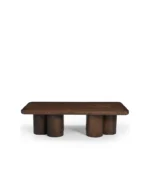Mango Wood Coffee Table