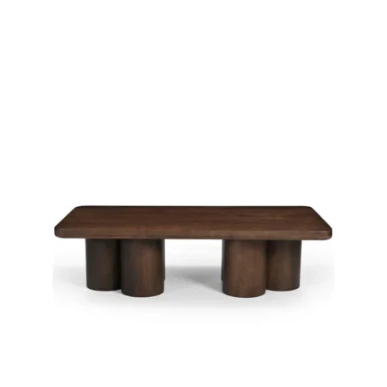 Mango Wood Coffee Table