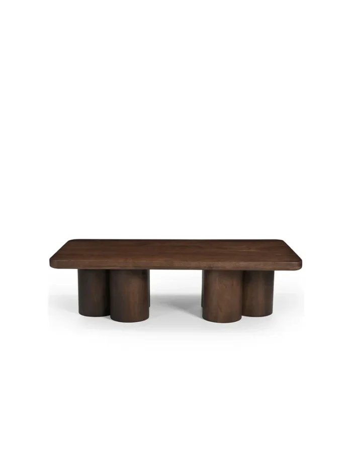 Mango Wood Coffee Table