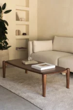Mango Wood Coffee Table