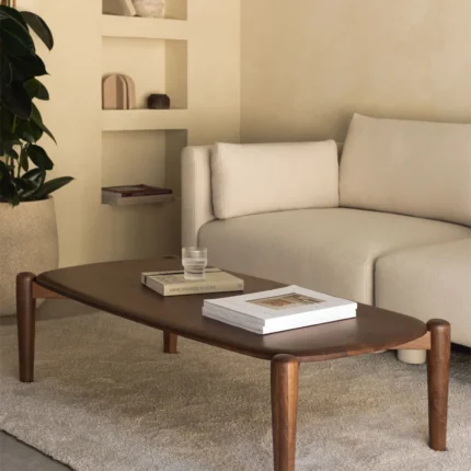 Mango Wood Coffee Table