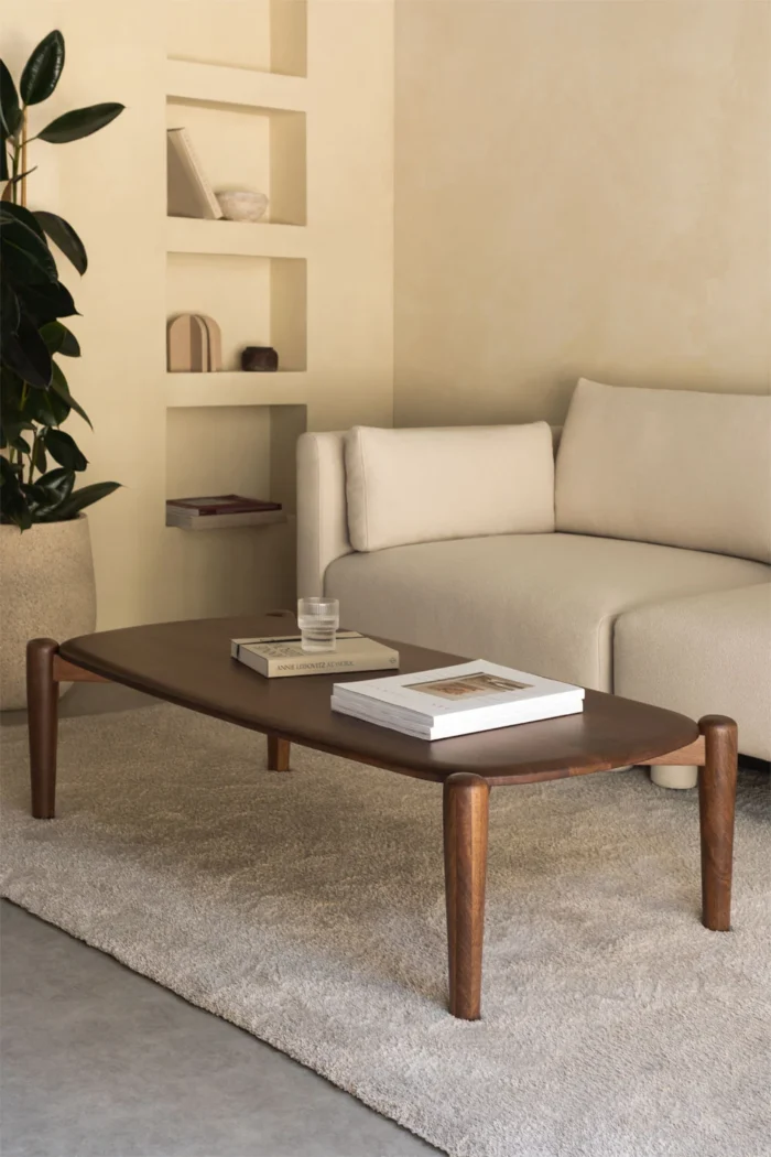Mango Wood Coffee Table