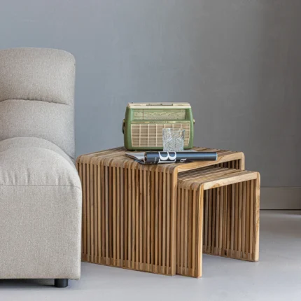 Set of 2 Organic Recycled Side Tables 